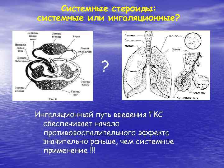 Системные стероиды: системные или ингаляционные? ? Ингаляционный путь введения ГКС обеспечивает начало противовоспалительного эффекта