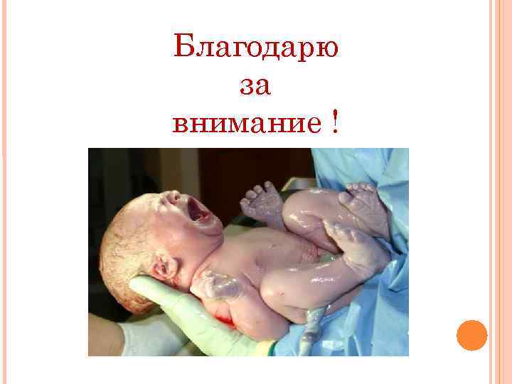 Благодарю за внимание ! 