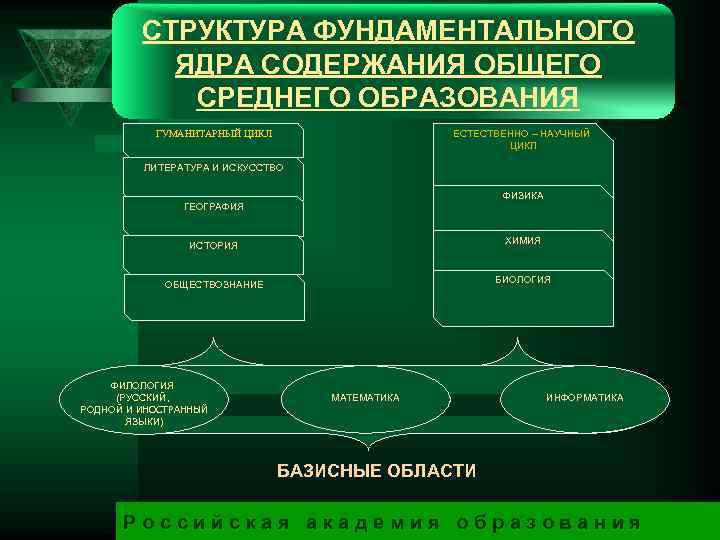 СТРУКТУРА ФУНДАМЕНТАЛЬНОГО ЯДРА СОДЕРЖАНИЯ ОБЩЕГО СРЕДНЕГО ОБРАЗОВАНИЯ ЕСТЕСТВЕННО – НАУЧНЫЙ ЦИКЛ ГУМАНИТАРНЫЙ ЦИКЛ ЛИТЕРАТУРА