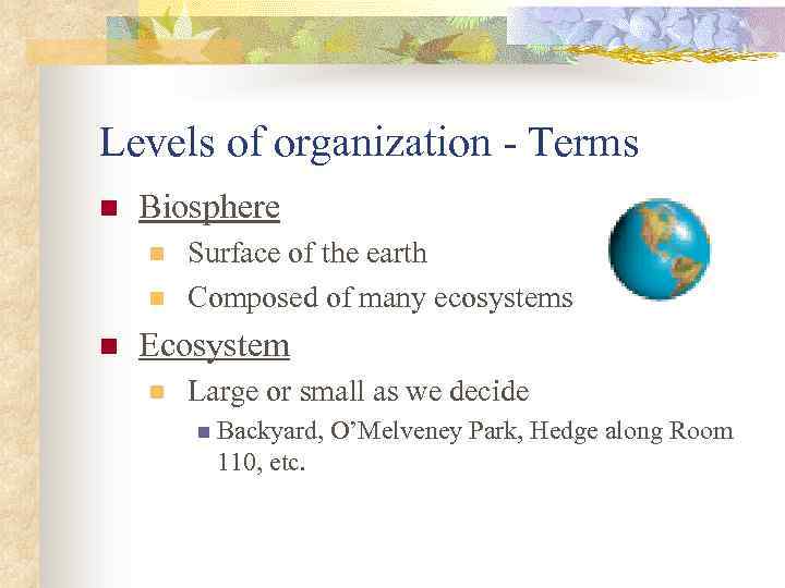 what-is-ecology-origin-of-the-word-ecology