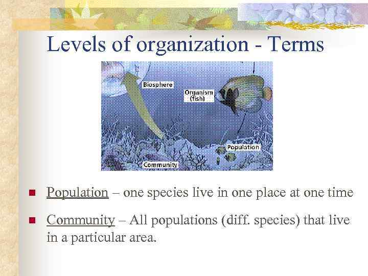 Levels of organization - Terms n Population – one species live in one place