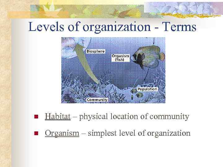 Levels of organization - Terms n Habitat – physical location of community n Organism