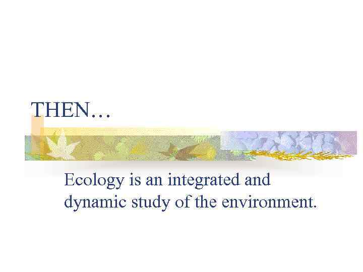 THEN… Ecology is an integrated and dynamic study of the environment. 