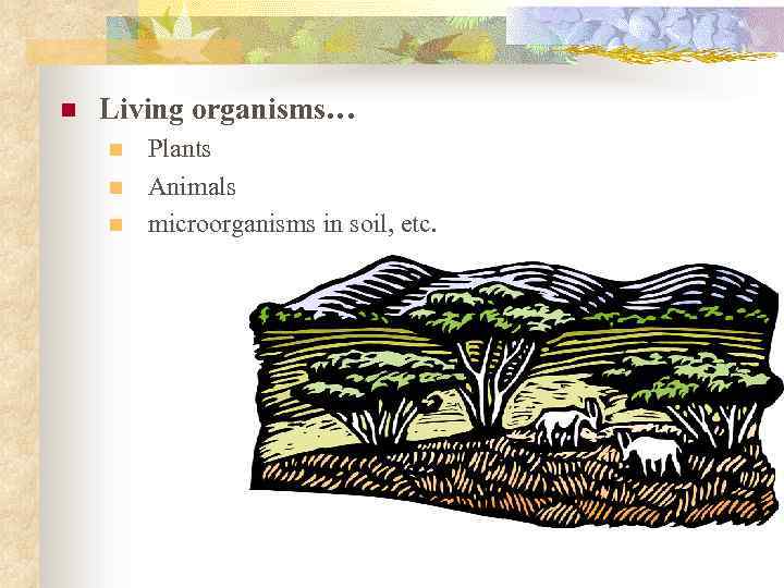 n Living organisms… n n n Plants Animals microorganisms in soil, etc. 