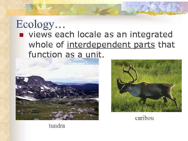 Ecology… n views each locale as an integrated whole of interdependent parts that function