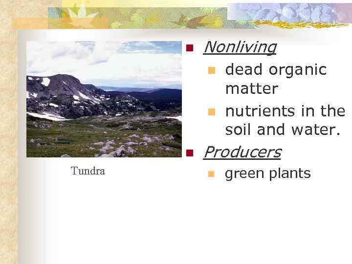 n Nonliving n n n Tundra dead organic matter nutrients in the soil and