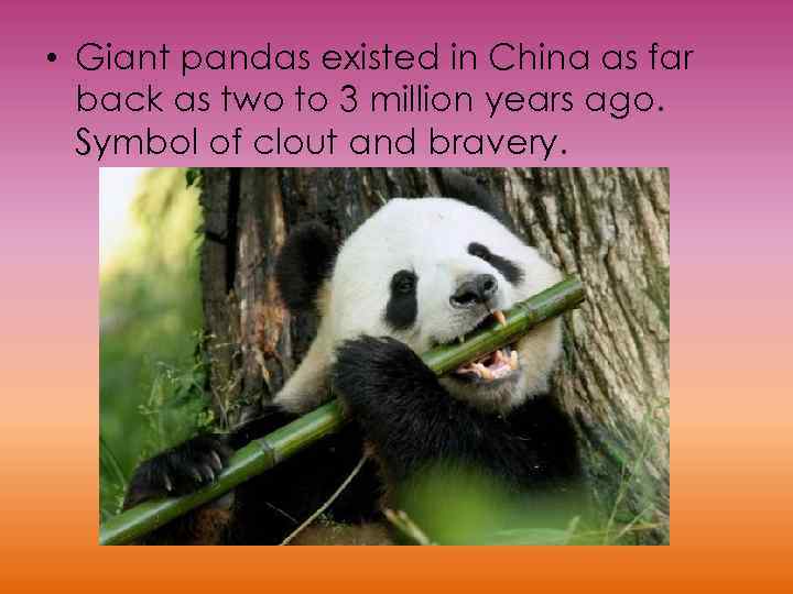  • Giant pandas existed in China as far back as two to 3