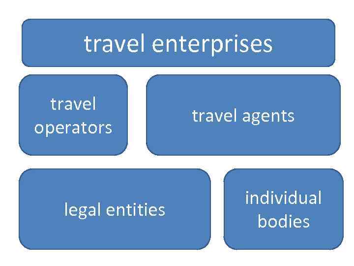 travel enterprises travel operators legal entities travel agents individual bodies 