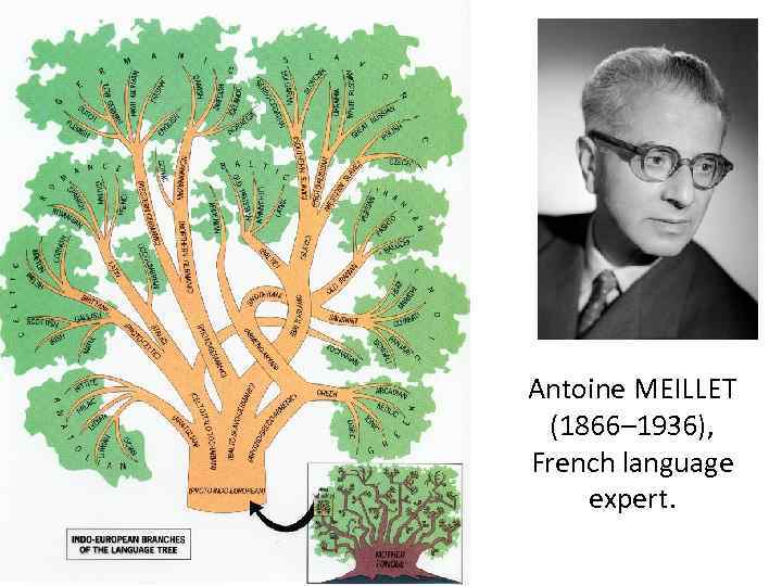 Antoine МЕILLЕT (1866– 1936), French language expert. 