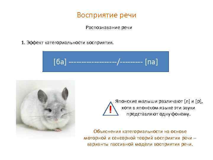 Восприятие речи Распознавание речи 1. Эффект категориальности восприятия. [ба] ----------/----- [па] ! Японские малыши