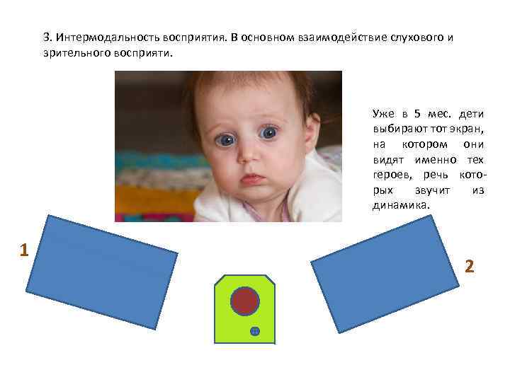 3. Интермодальность восприятия. В основном взаимодействие слухового и зрительного восприяти. Уже в 5 мес.