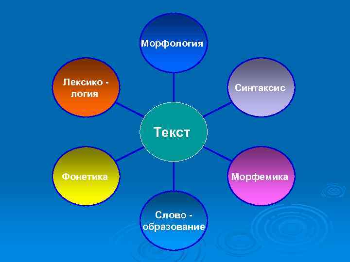 Морфология Лексико логия Синтаксис Текст Морфемика Фонетика Слово образование 