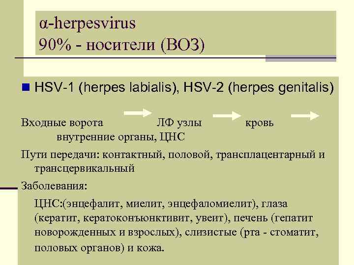 α-herpesvirus 90% - носители (ВОЗ) n HSV-1 (herpes labialis), HSV-2 (herpes genitalis) Входные ворота