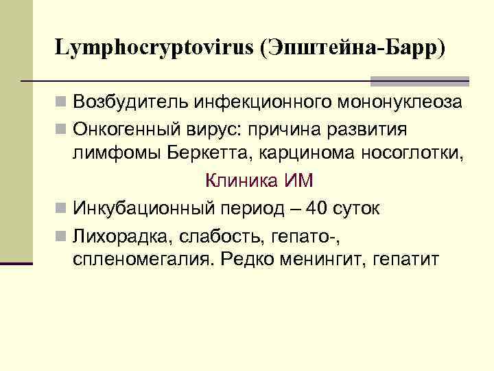 Lymphocryptovirus (Эпштейна-Барр) n Возбудитель инфекционного мононуклеоза n Онкогенный вирус: причина развития лимфомы Беркетта, карцинома