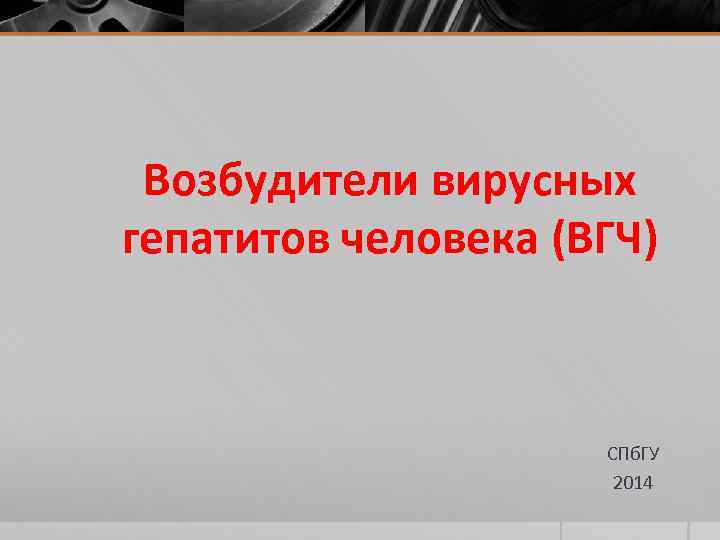 Возбудители вирусных гепатитов человека (ВГЧ) СПб. ГУ 2014 
