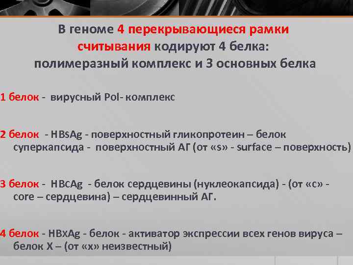 В геноме 4 перекрывающиеся рамки считывания кодируют 4 белка: полимеразный комплекс и 3 основных