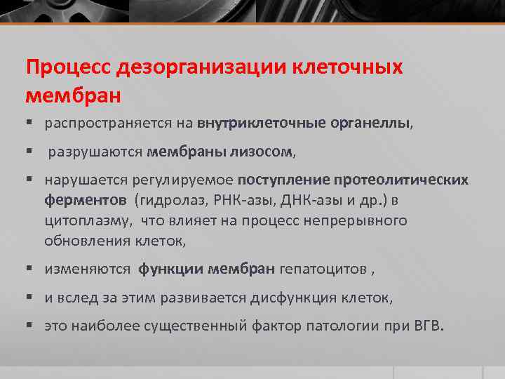 Процесс дезорганизации клеточных мембран § распространяется на внутриклеточные органеллы, § разрушаются мембраны лизосом, §