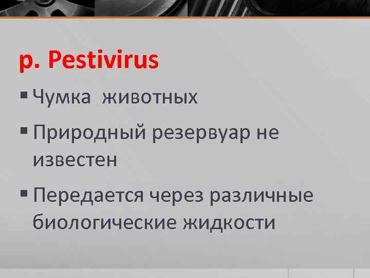 p. Pestivirus § Чумка животных § Природный резервуар не известен § Передается через различные