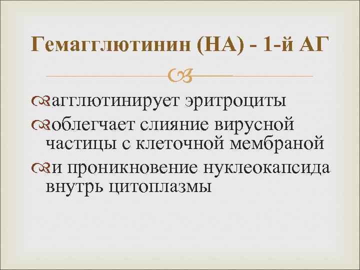 Гемагглютинин (НА) - 1 -й АГ агглютинирует эритроциты облегчает слияние вирусной частицы с клеточной