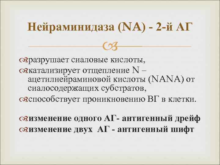Нейраминидаза (NA) - 2 -й АГ разрушает сиаловые кислоты, катализирует отщепление N – ацетилнейраминовой