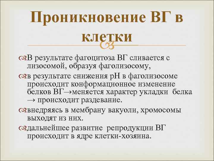 Проникновение ВГ в клетки В результате фагоцитоза ВГ сливается с лизосомой, образуя фаголизосому, в