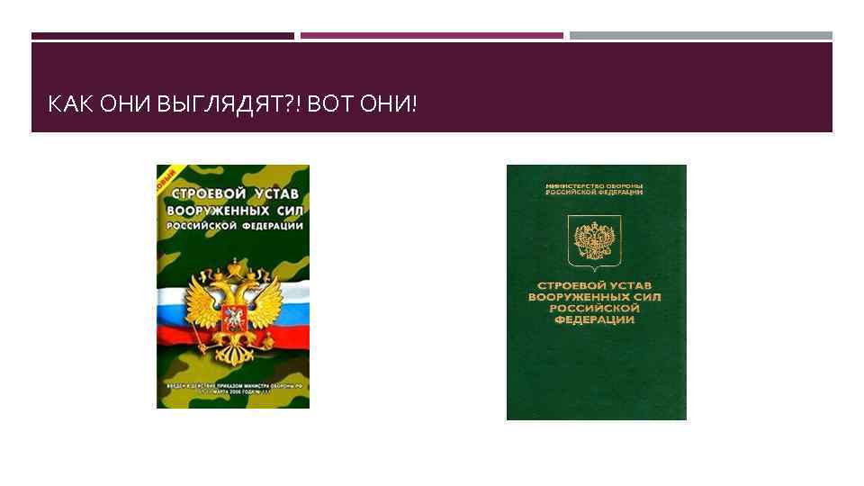 КАК ОНИ ВЫГЛЯДЯТ? ! ВОТ ОНИ! 