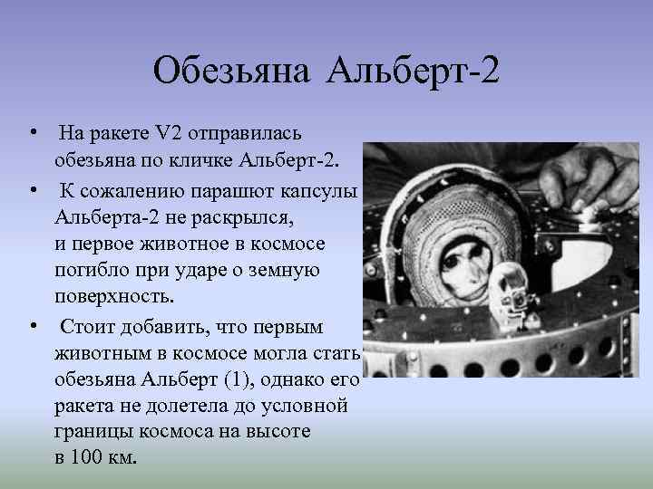 Обезьяна Альберт-2 • На ракете V 2 отправилась обезьяна по кличке Альберт-2. • К