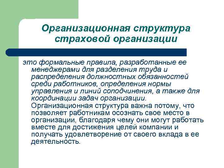 Организационная структура страховой организации это формальные правила, разработанные ее менеджерами для разделения труда и