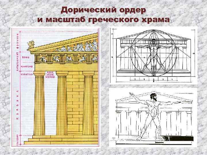 Дорический ордер и масштаб греческого храма 