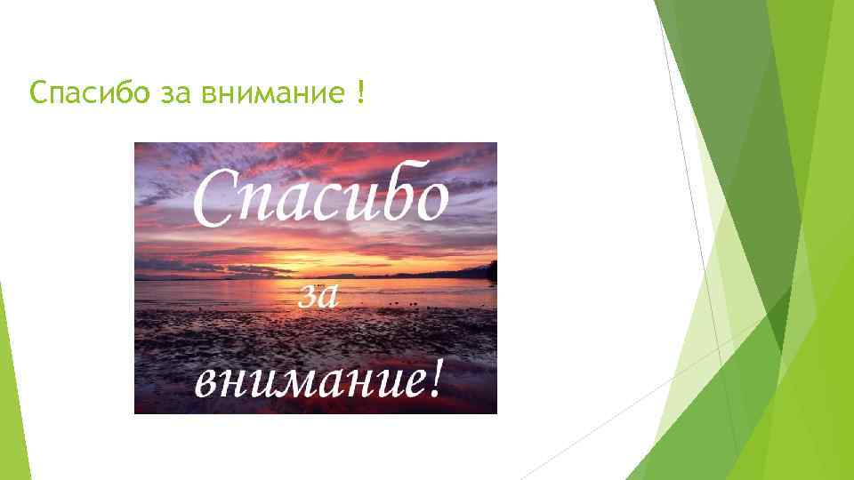 Спасибо за внимание ! 