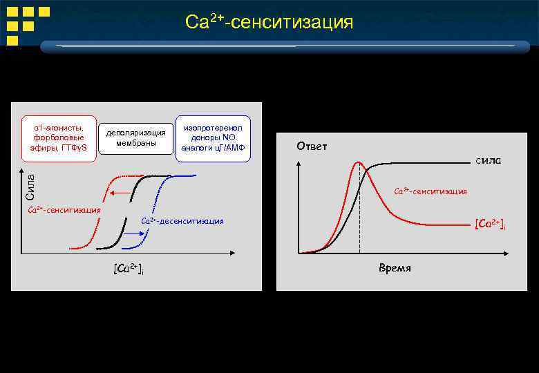 Ca 2+-сенситизация деполяризация мембраны изопротеренол доноры ΝΟ аналоги ц. Г/АМФ Сила α 1 -агонисты,