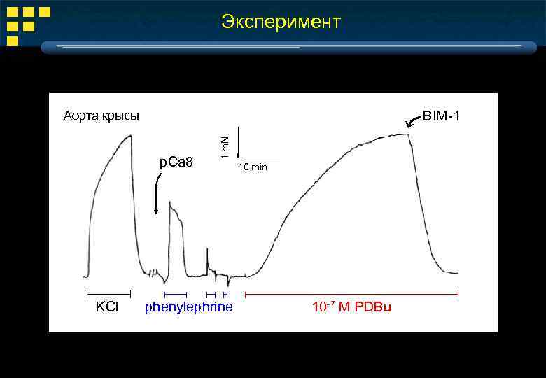 Эксперимент BIM-1 p. Ca 8 KCl 1 m. N Аорта крысы phenylephrine 10 min