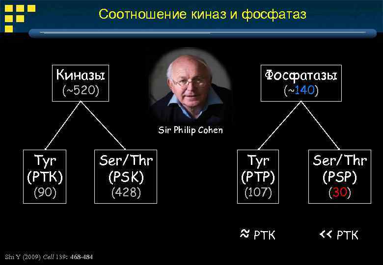 Соотношение киназ и фосфатаз Киназы Фосфатазы (~520) (~140) Sir Philip Cohen Tyr (РТК) Shi