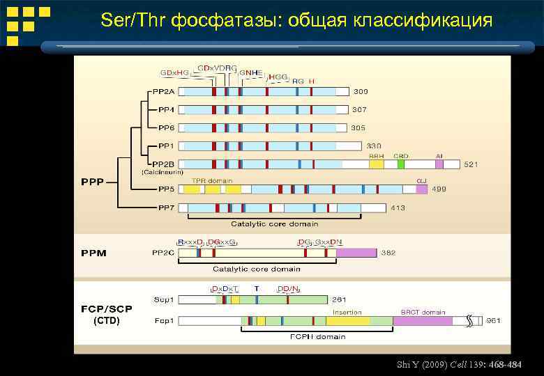 Ser/Thr фосфатазы: общая классификация (CTD) Shi Y (2009) Cell 139: 468 -484 