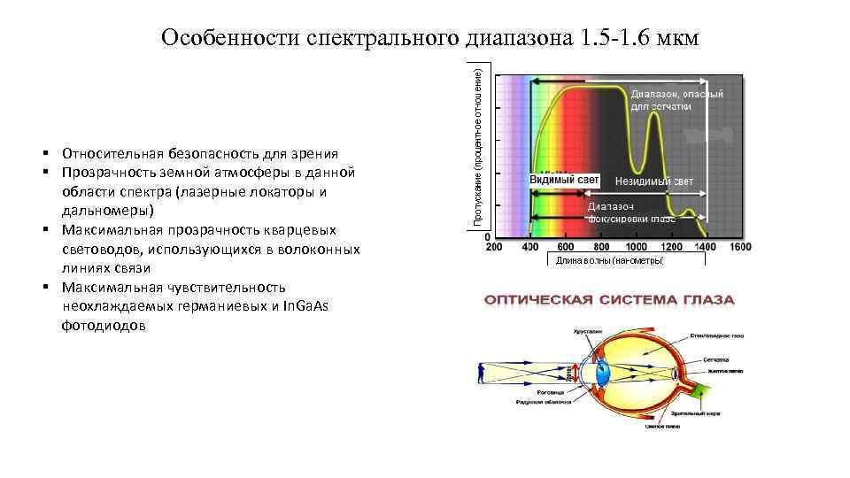 Особенности спектрального диапазона 1. 5 -1. 6 мкм § Относительная безопасность для зрения §