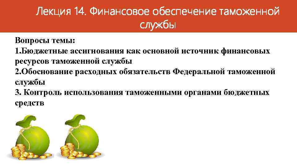 Лекция 14 Финансовое обеспечение таможенной службы Вопросы темы