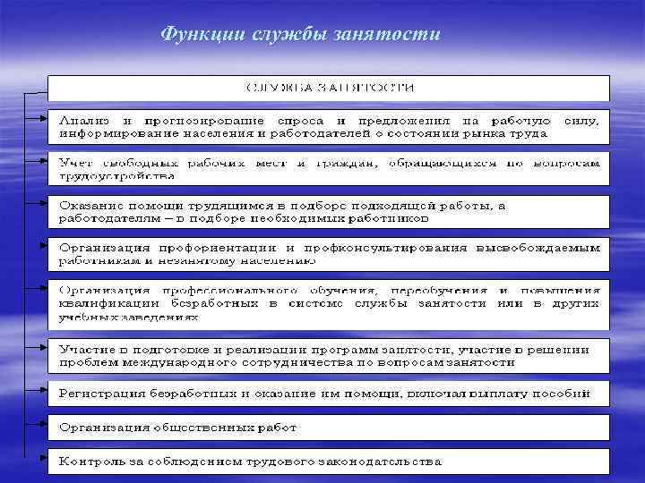 Информации в органах службы занятости. Служба занятости структура и функции. Органы труда и занятости населения и их функции. Функции службы занятостт. Функции органов службы занятости.