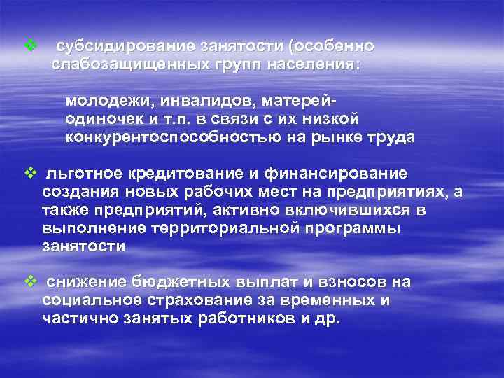 v субсидирование занятости (особенно слабозащищенных групп населения: молодежи, инвалидов, матерейодиночек и т. п. в