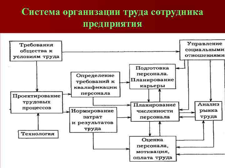 Система организации труда. Система организации труда на предприятии. Основные элементы системы организации труда это. Подсистемы в системе организации труда. Организация труда на предприятии схема.