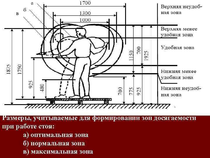 Нормальная зона. Эргономика рабочего места зоны досягаемости. Эргономика рабочего места стоя. Оптимальная зона досягаемости. Оптимальная зона досягаемости рабочих мест.