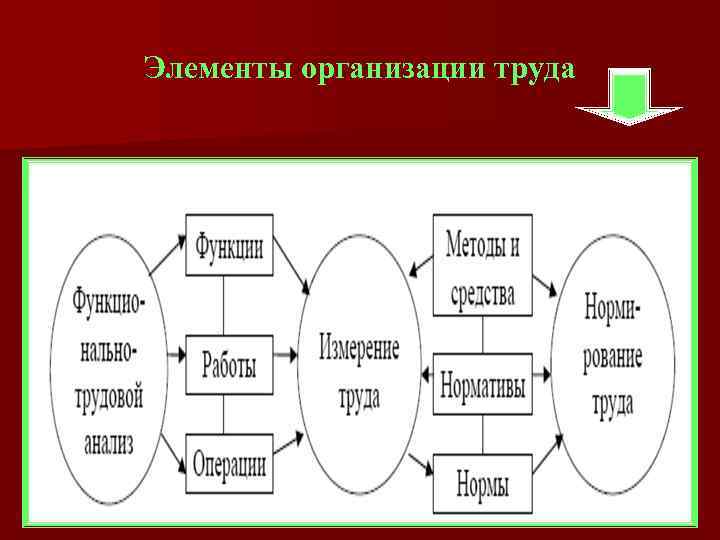 Элементы организации труда 