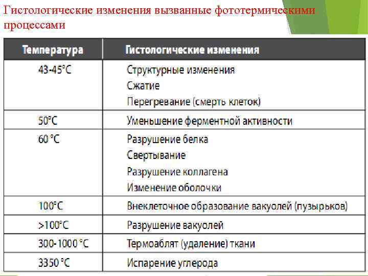 Гистологические изменения вызванные фототермическими процессами 