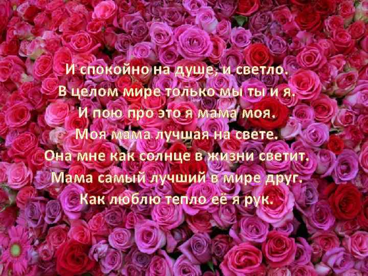 И спокойно на душе, и светло. В целом мире только мы ты и я.