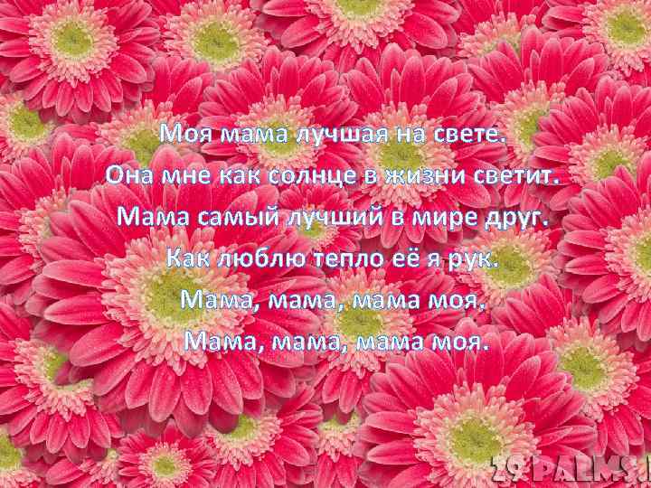 Моя мама лучшая на свете. Она мне как солнце в жизни светит. Мама самый