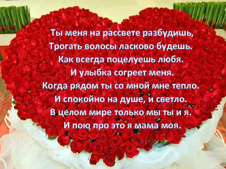 Ты меня на рассвете разбудишь. Ты меня на рассвете разбудишь трогать волосы. Ты меня на рассвете разбудишь слова. Ты меня на рассвете разбудишь трогать волосы текст.