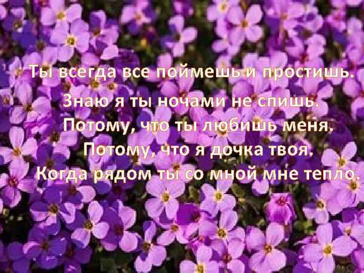 Ты всегда все поймешь и простишь. Знаю я ты ночами не спишь. Потому, что