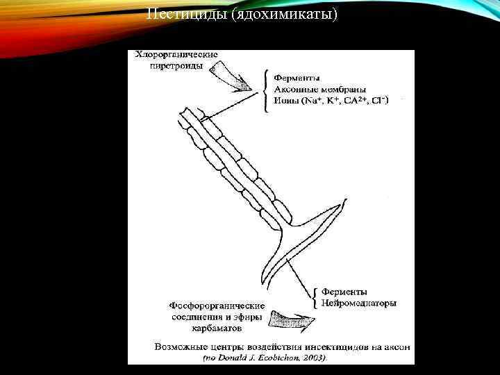 Пестициды (ядохимикаты) 