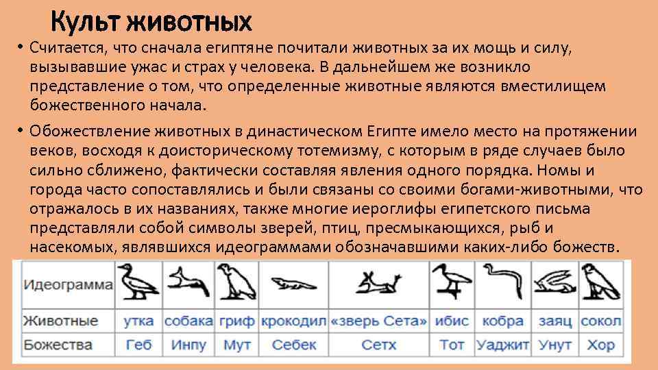 Культ животных • Считается, что сначала египтяне почитали животных за их мощь и силу,