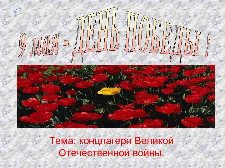 Тема: концлагеря Великой Отечественной войны. 