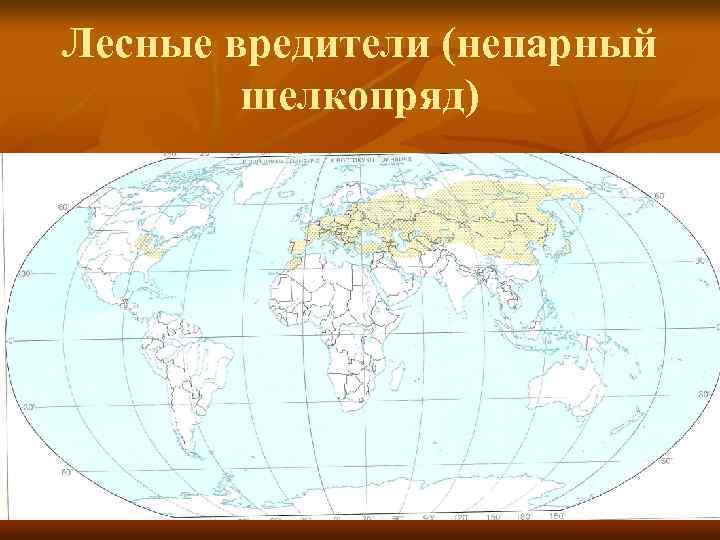 Лесные вредители (непарный шелкопряд) 